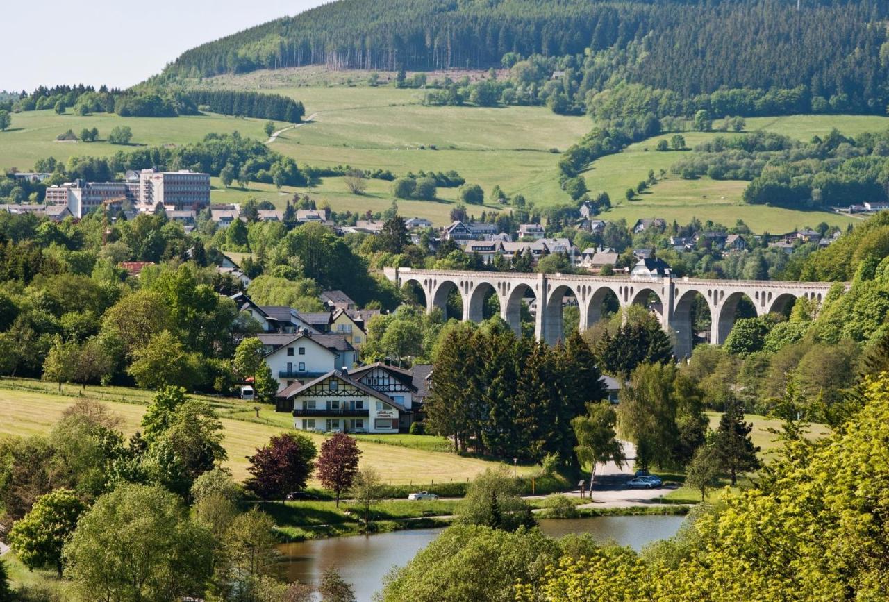 Fewo Blumes Bergfrieden Mit Meinecardplus Willingen  Exterior photo
